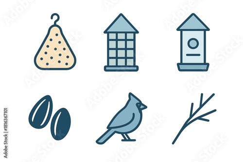 Collection of essential elements for backyard bird feeding including feeders, seeds, and a songbird