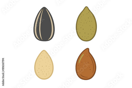 Stylized collection of four seeds and nuts including sunflower seed and kernels