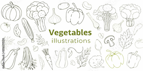 Hand drawn vegetable illustrations set healthy eating vegan food concept