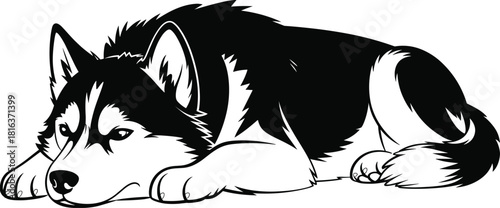 Cute lying husky dog illustration in black and white, detailed adorable pet artwork suitable for stickers, logos, t-shirt designs, and graphic decoration