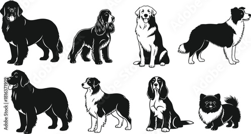 Collection of detailed vector dog illustrations, black and white Newfoundland, Spaniel, and Collie breeds, various poses for pet and animal professional logo design