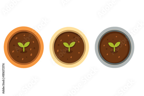 Three small potted seedlings sprouting from rich soil
