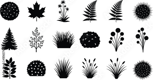Collection of various plant and foliage vector silhouettes, isolated black icons including maple leaf, ferns, grass, and shrubs for nature landscape design