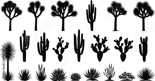 Desert Cactus, Joshua Tree, Yucca, and Succulent Plants Black Silhouettes Set, Southwestern United States Nature Flora Vector Collection