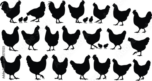 Large Set of Chicken Silhouettes, Including Rooster, Hen, and Chicks, Black Vector Illustration Pack for Farm Logos, Poultry Packaging, and Rural Agricultural Design Projects