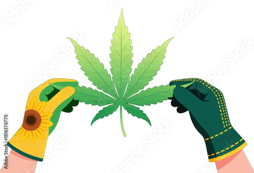 Hands in Gardening Gloves Holding a Cannabis Leaf