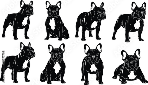 Set of eight black French Bulldog silhouettes, isolated vector illustrations, various sitting and standing dog poses, perfect for pet logo design