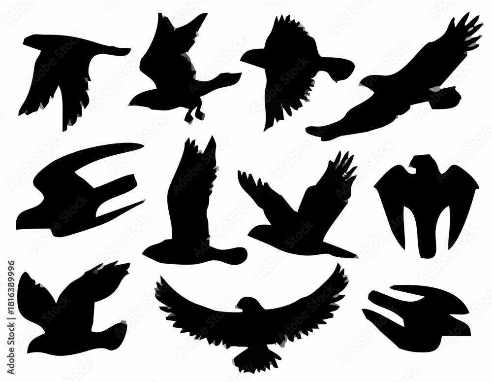 Obraz premium Black Bird Silhouettes - Eagl...