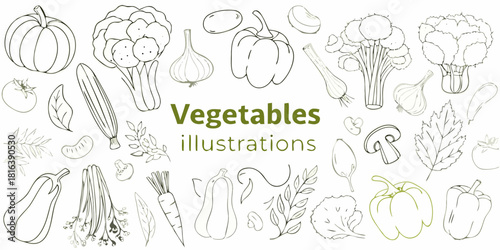 Hand drawn vegetables illustration set healthy food vegan vegetarian