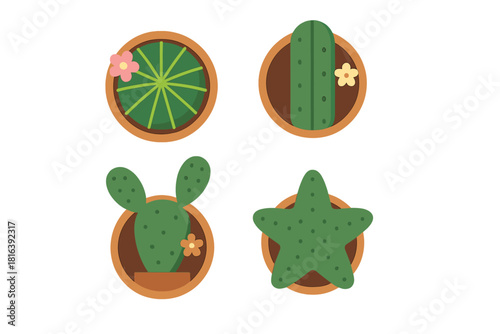 Collection of four potted succulent plants and cactus varieties viewed from above