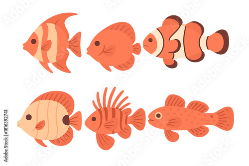 Six colorful tropical marine fish species including clownfish and angelfish