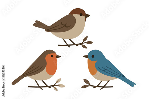 Set of three colorful songbirds including a robin and bluebird perched on branches