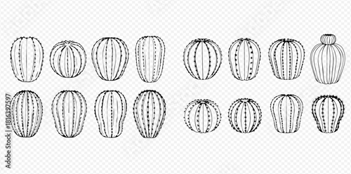 A collection of various stylized sea urchin illustrations in black and white.