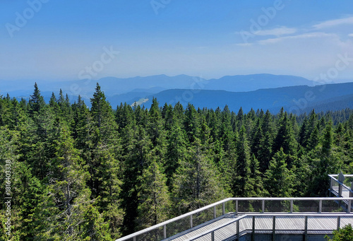 Pohorje Mountains under blue sky. Wooden path in forest. Rogla.  Slovenia