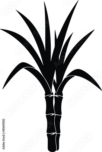 Illustration Sugar cane plant stalk with leaves black silhouette vector