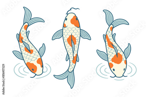 Three traditional Japanese ornamental Koi fish swimming gracefully in water overhead view