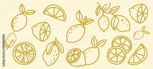Lemon doodle fruit hand drawn vector illustrations set. Citrus, orange wedge, tropical lime with crayon texture.