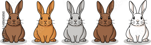 Cartoon rabbits in different fur colors sitting in row, cute animal character illustration for diversity, pet design and children content