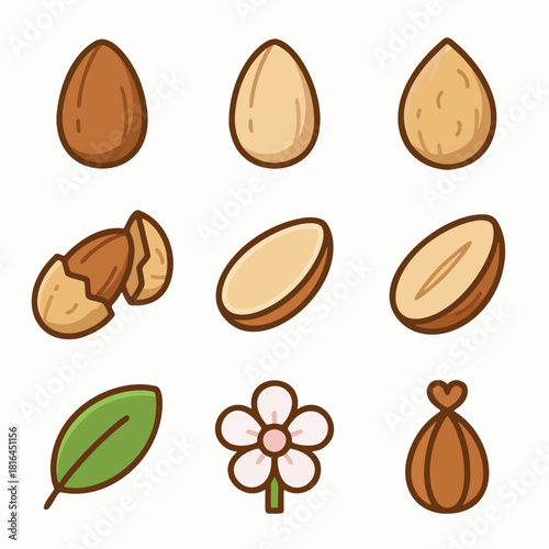 Almond Icons Set – Almond Nuts, Sliced Almonds, Flower, Leaf and Organic Food Vector Illustration