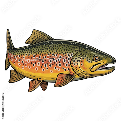 brown trout fish fishing logo illustration vector image t shirt design