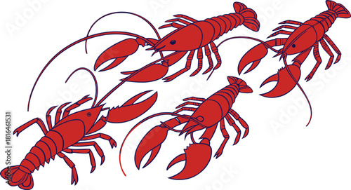 Red crayfish and lobster isolated on black and white background vector illustration