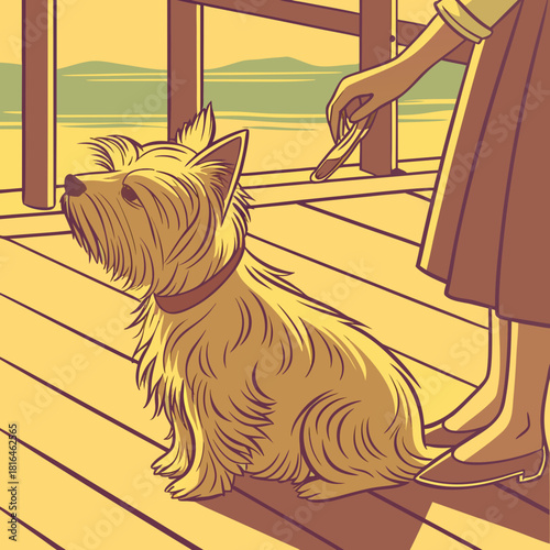 Yorkie vector woman giving treat to fluffy terrier pup. Suitable for pet care, pet food, pet training, dog lover concepts.
