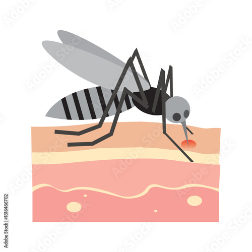 Mosquito Bites on Human Skin