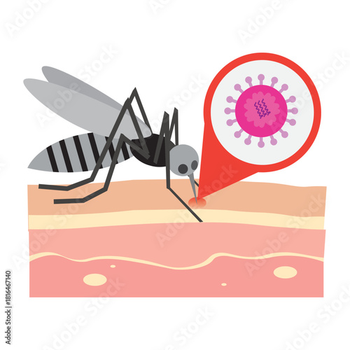 Mosquito Virus Transmission