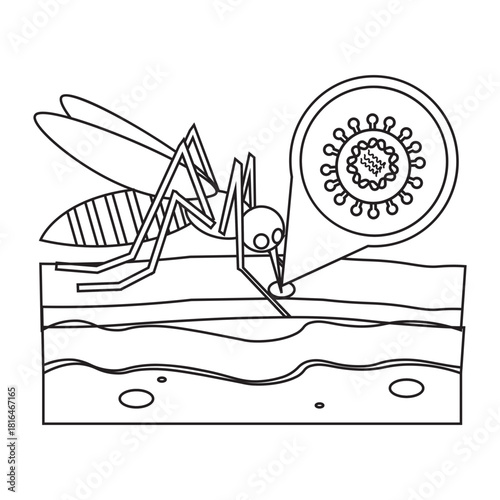 Mosquito Virus Transmission line icon