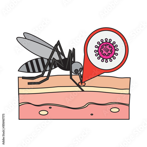 Mosquito Virus Transmission