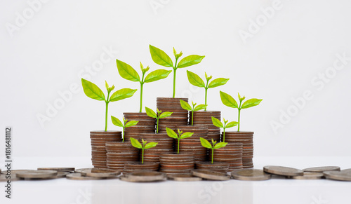coin stack money saving concept. green leaf plant growth on rows of coin on white background. money matters tips to investment and business financial banking for Financial Wellness.money management.