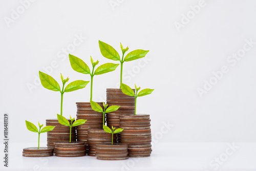 coin stack money saving concept. green leaf plant growth on rows of coin on white background. money matters tips to investment and business financial banking for Financial Wellness.money management.