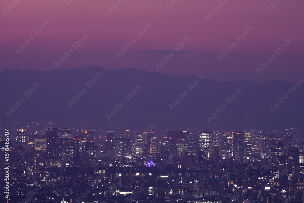 Fototapeta premium 大阪平野夜景とビル街に浮かび上がる紫色にライトアップされた大阪城