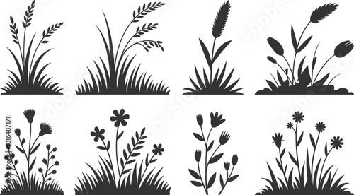 Black silhouette set of grass, reeds, bushes, and decorative plants, essential elements for nature garden design.