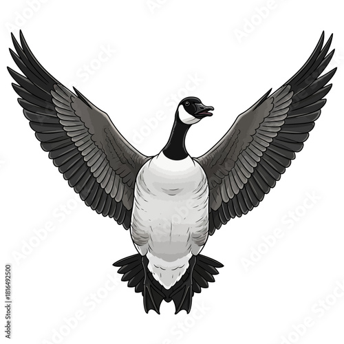 canadian goose duck hunting illustration logo vector image t shirt