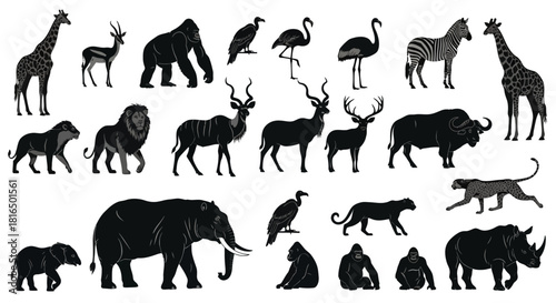 Wildlife Icons A Black and White Collection of Wild Animal Silhouettes