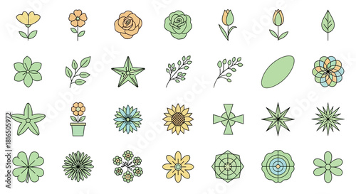 Collection of decorative floral and botanical elements, perfect for graphic design and branding