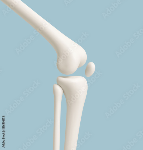 Human knee joint bones anatomy on blue background. Medical or healthcare concept. Vector illustration