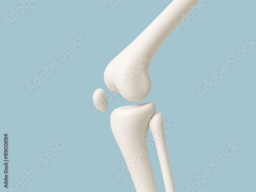 Human knee joint bones anatomy on blue background. Medical or healthcare concept. Vector illustration_1