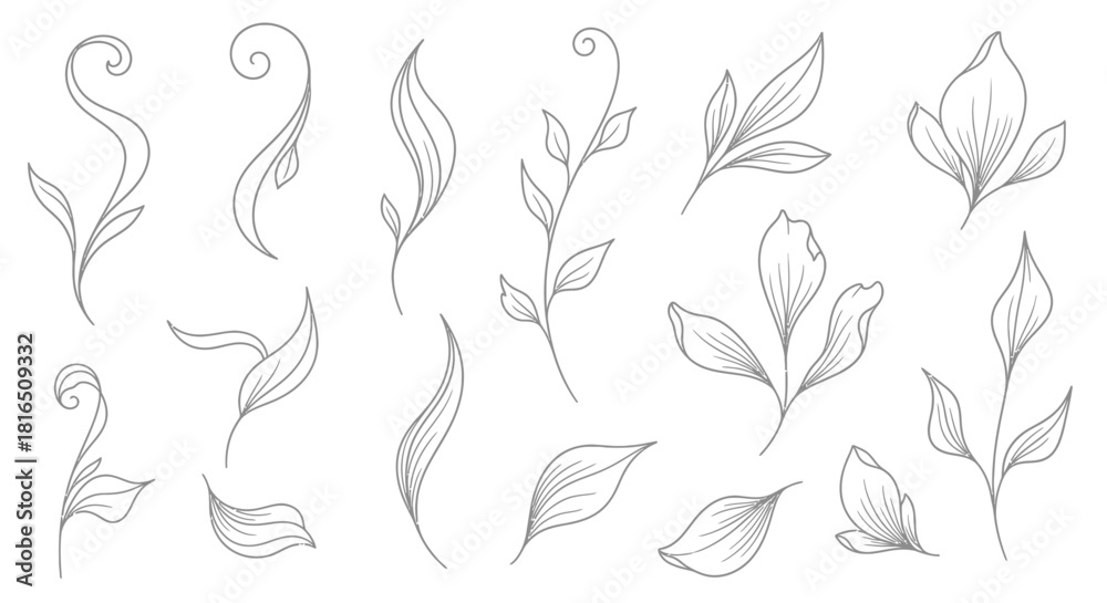 Fototapeta premium A beautiful collection of hand drawn botanical leaves and stems.