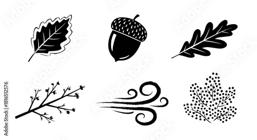 Autumn Nature Elements Collection with Leaves Acorn and Wind.