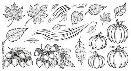 Autumn Harvest Elements Collection Hand Drawn Style.