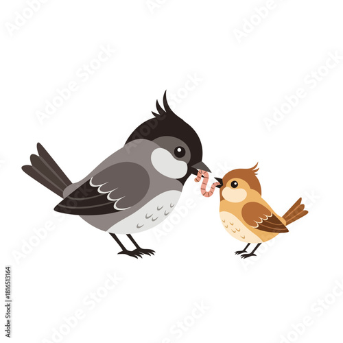 Bird feeding worm to baby bird in nature.