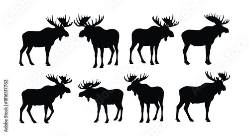 Silhouettes of majestic moose a collection of varying poses and viewpoints