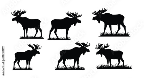Silhouettes of majestic moose a collection of varying poses and viewpoints