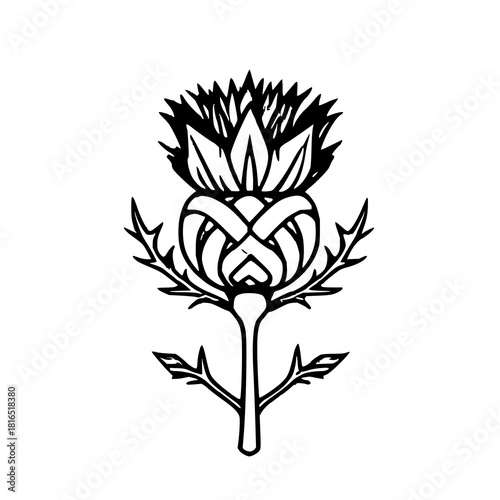 Scottish Thistle Emblem: Black and White Celtic Kn