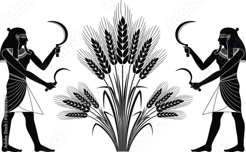 Ancient Egyptian men harvesting big wheat crops using sickles, vector black and white illustration of historical farming scene isolated on white background.