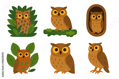 Colorful Forest Owls. Forest Owls Set flat icon set: camouflaged owl, mossy branch, tree hollow, forest leaves, soft feathers, lookout pose