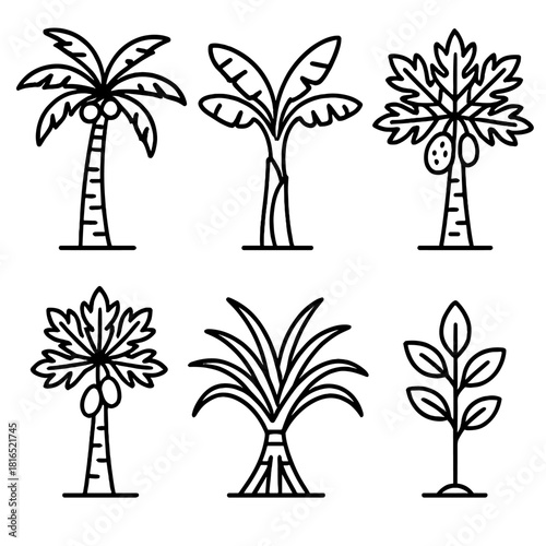 Tropical Tree Icons. Tropical Trees Set linear icon set: coconut palm, banana tree, breadfruit tree, papaya tree, pandan tree, tropical sapling