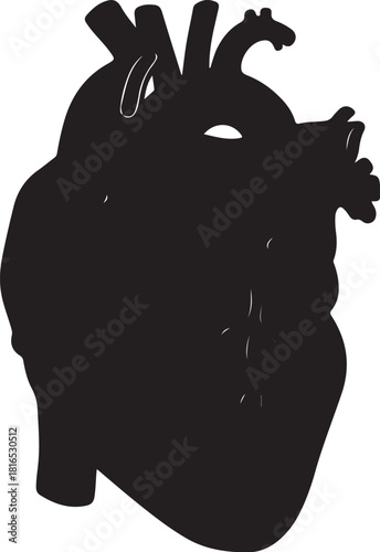 Black Heart Icon Anatomy Vector Illustration for Medical or Health Concepts, Cardiology and Cardiovascular Research